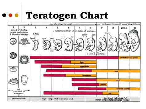 teratogen deutsch.